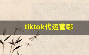 tiktok代运营哪家好_tiktok 林